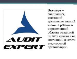 Využití práce experta při auditu